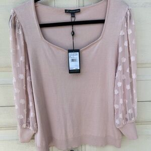 Adrianna Papell Blush Pink‎ Top with Sheer Sleeves